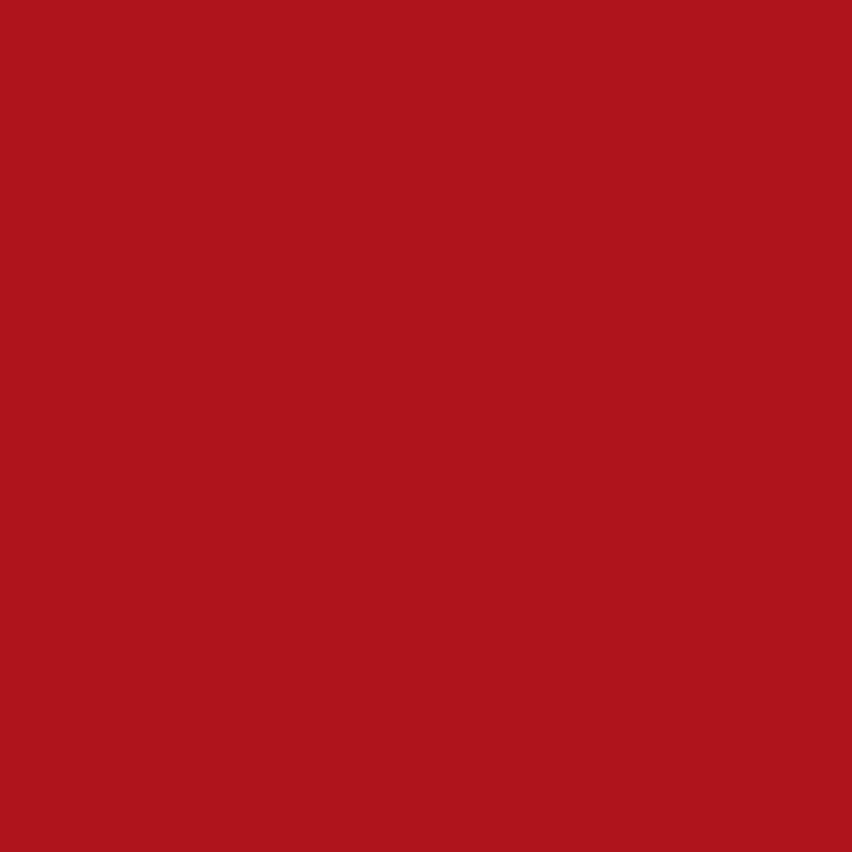 Cricut® Vinyl – Removable (4 ft), 12 x48,Cardinal Red — product image 9