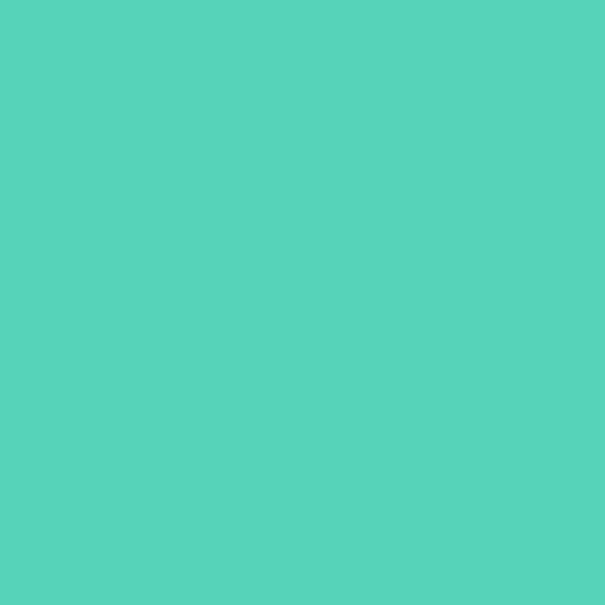 Cricut Joy™ Smart Vinyl™ Matless Permanent Vinyl, 5.5" x 48",Mint — product image 2